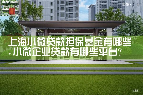 上海担保基金限额调整方法有哪些