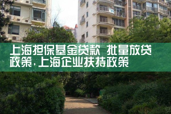 上海担保基金贷款 批量放贷政策