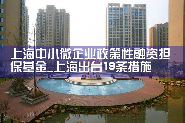 上海担保基金全称叫什么