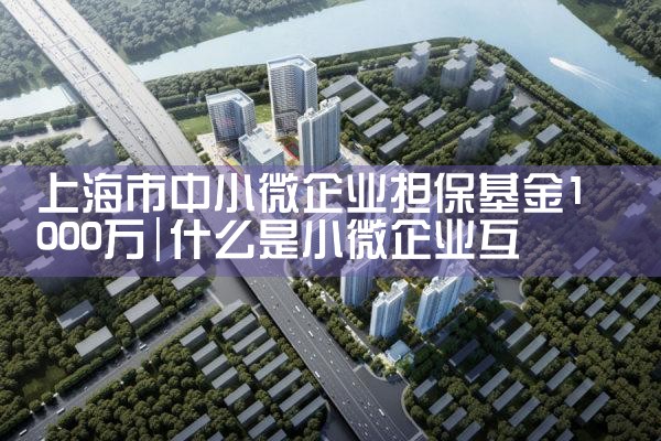 上海担保基金管理中心工资