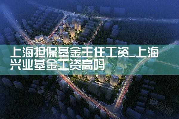 上海小微企业担保基金贷款额度怎么算