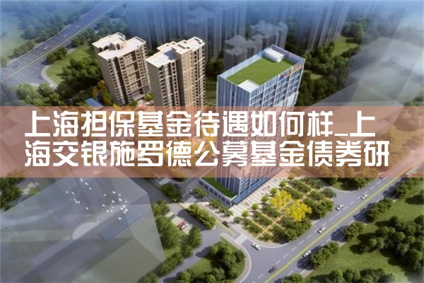 上海担保基金待遇如何样