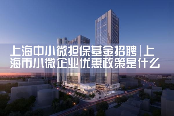 上海中小微担保基金招聘