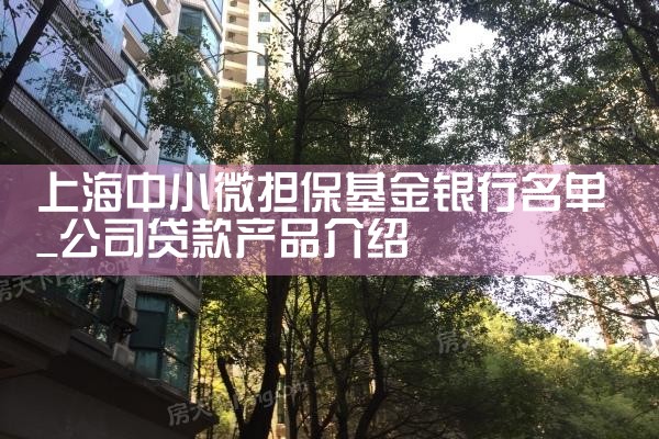 上海担保基金贷款 嘉定网点在哪操作