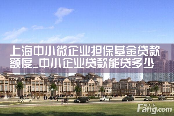 上海担保基金 无还本续贷条件是什么类型
