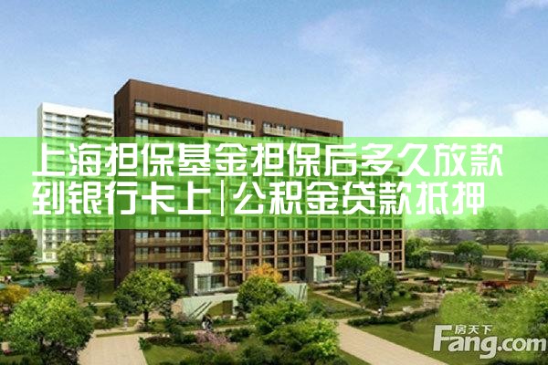 上海担保基金 无还本续贷