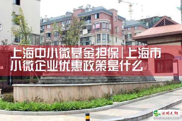 上海担保基金全称叫什么名字