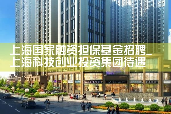 上海国家融资担保基金招聘