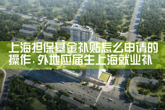 上海担保基金 无还本续贷业务流程