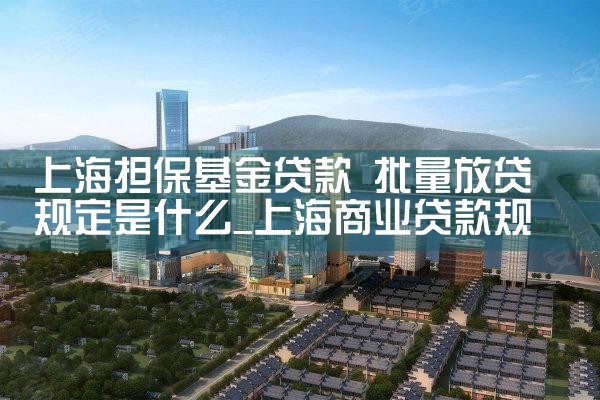 上海市担保基金办法