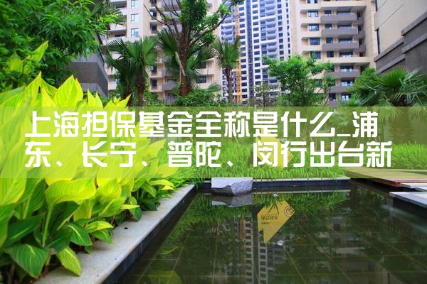 上海担保基金有哪些