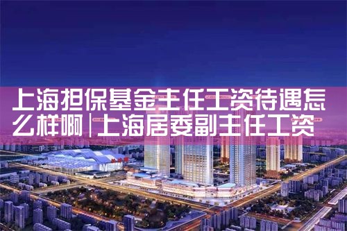 上海担保基金主任工资待遇怎么样啊