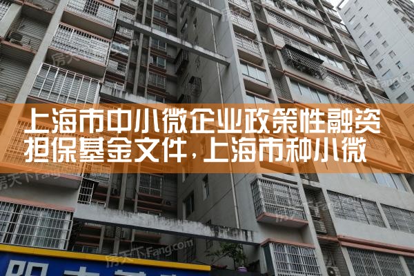 上海小微企业担保基金官网查询