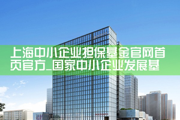 上海市中小微企业政策性担保基金有哪些