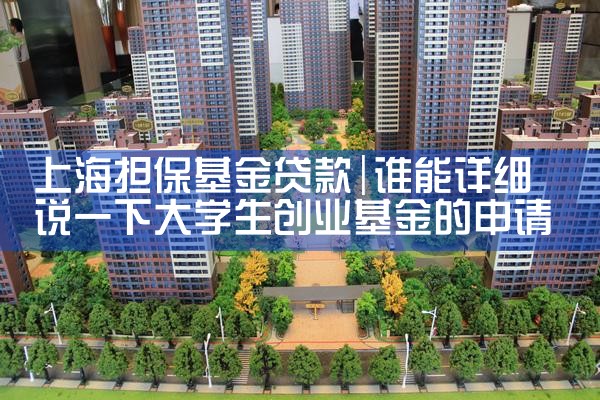 上海担保基金平台