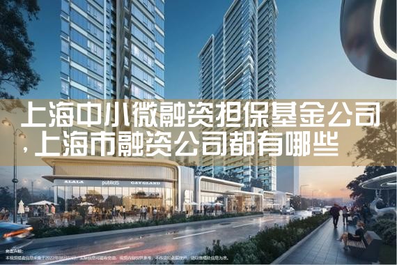 上海担保基金定制公司排名