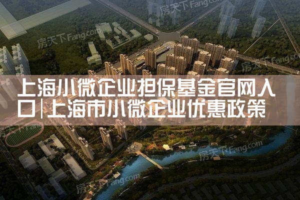 上海市政策性融资担保基金官网首页