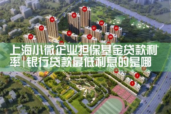 上海小微企业担保基金贷款利率