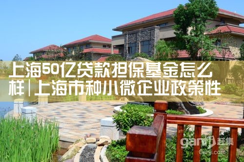 上海50亿贷款担保基金怎么样