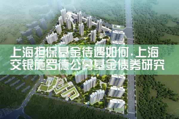 上海市中小微企业政策性担保基金有哪些项目