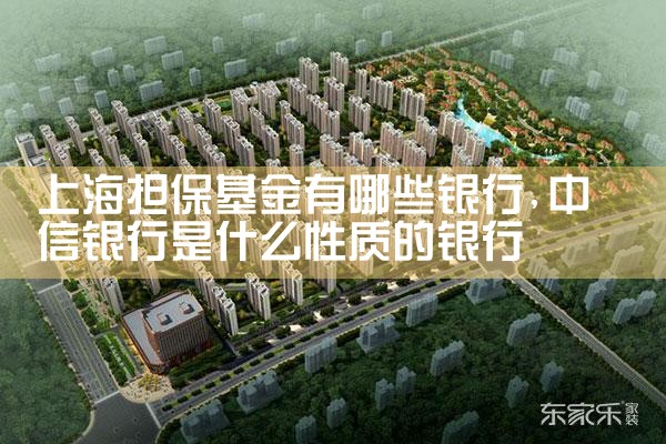 上海中小微企业担保基金