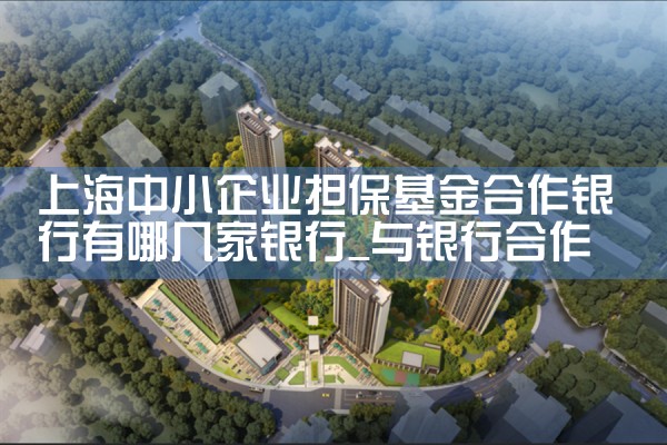 上海中小企业担保基金合作银行有哪几家银行