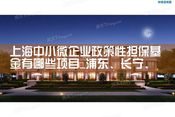 上海担保基金定制业务有哪些类型