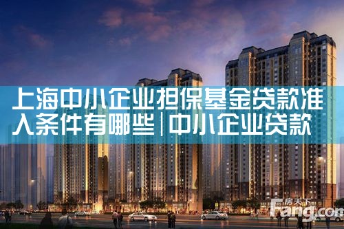 上海中小微企业政策性担保基金有哪些公司