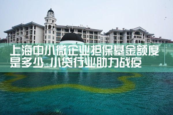 上海嘉定区担保基金补贴多少钱一个月