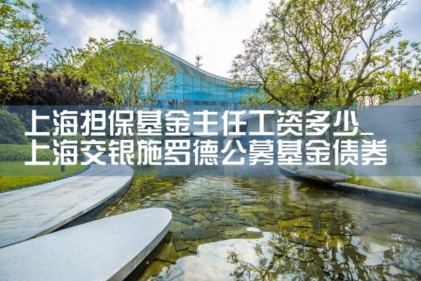 上海市中小微企业融资担保基金