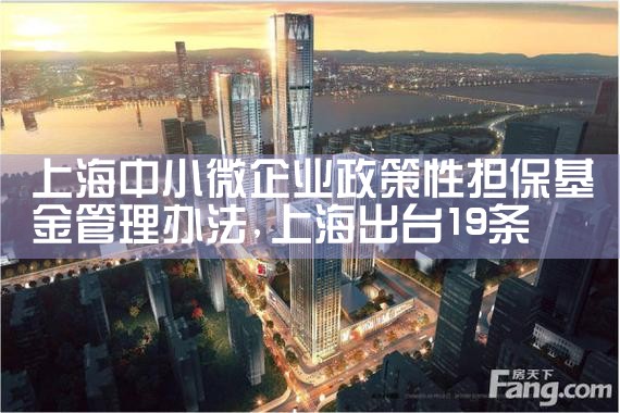 上海担保基金全称