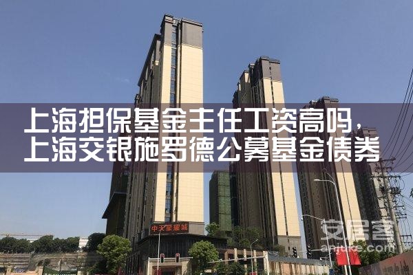 上海担保基金定制业务怎么样