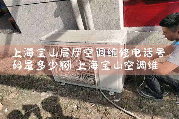 �Ϻ���ɽչ���յ�ά�޵绰�����Ƕ��ٰ�|ά�޿ͷ��绰