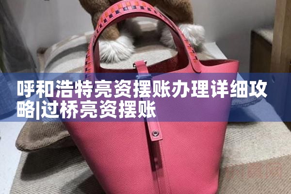 呼和浩特亮资摆账办理详细攻略