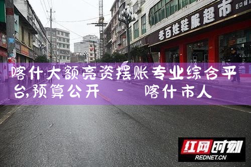 锡林郭勒盟摆账亮资具体怎么办理